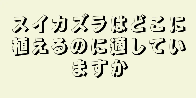 スイカズラはどこに植えるのに適していますか