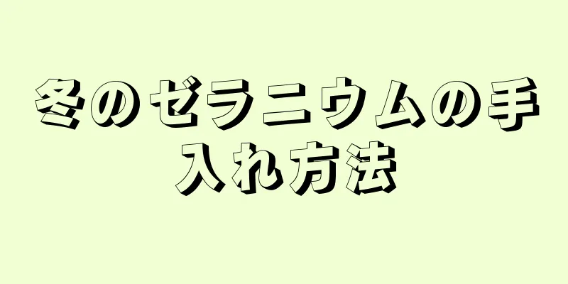 冬のゼラニウムの手入れ方法