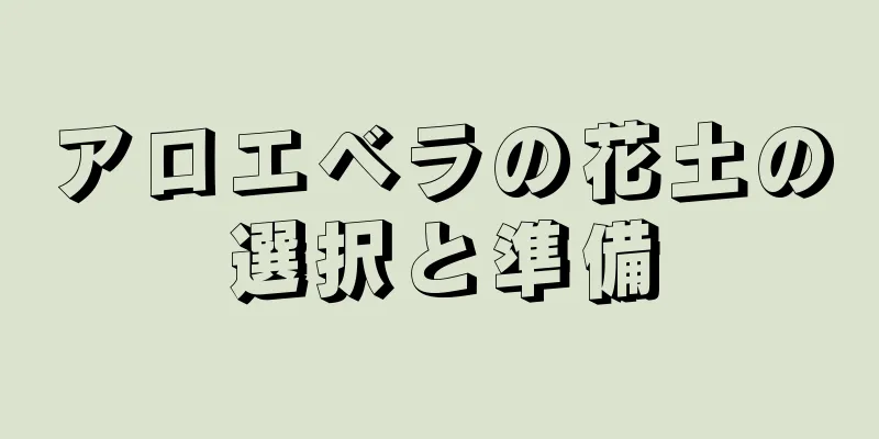アロエベラの花土の選択と準備