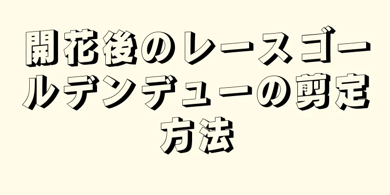 開花後のレースゴールデンデューの剪定方法