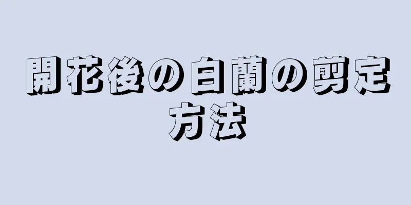 開花後の白蘭の剪定方法