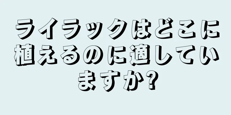 ライラックはどこに植えるのに適していますか?