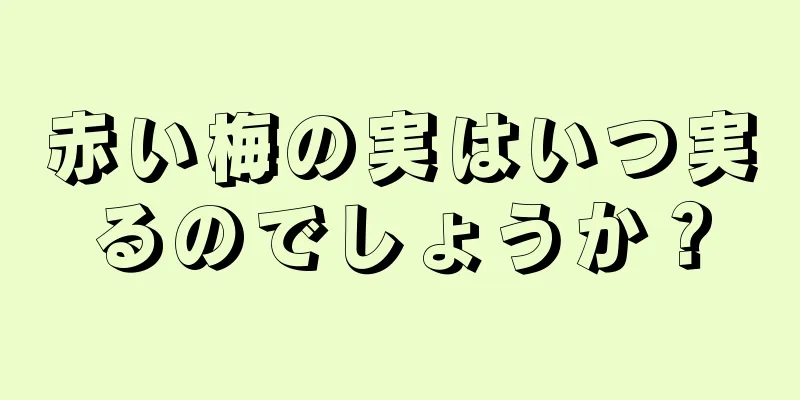 赤い梅の実はいつ実るのでしょうか？
