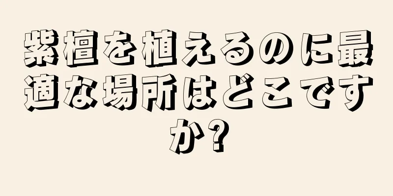 紫檀を植えるのに最適な場所はどこですか?