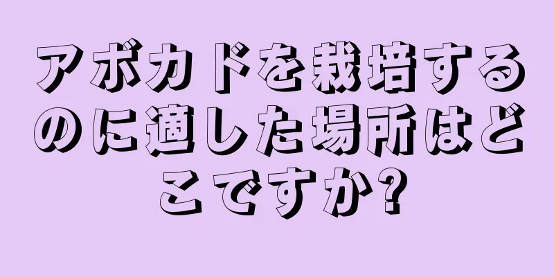 アボカドを栽培するのに適した場所はどこですか?