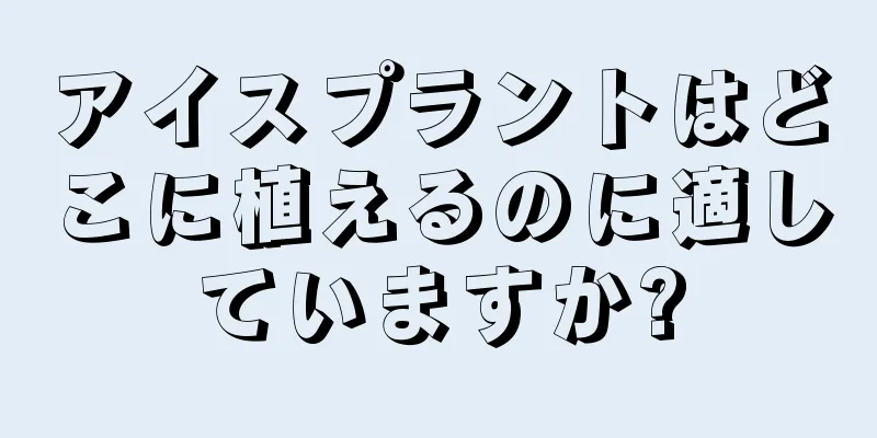 アイスプラントはどこに植えるのに適していますか?