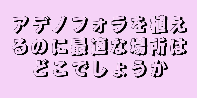 アデノフォラを植えるのに最適な場所はどこでしょうか