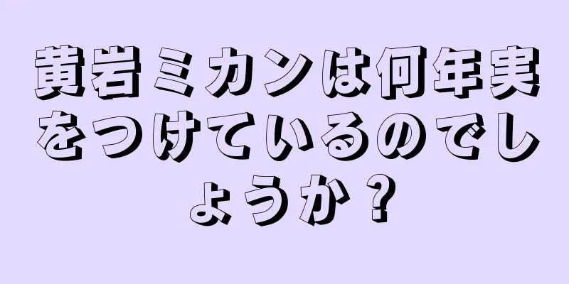 黄岩ミカンは何年実をつけているのでしょうか？