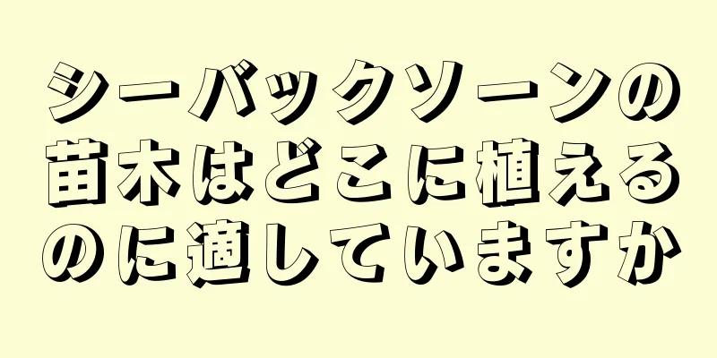 シーバックソーンの苗木はどこに植えるのに適していますか