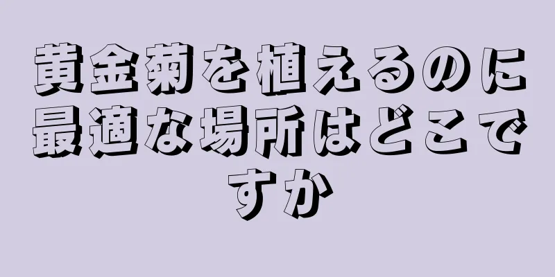 黄金菊を植えるのに最適な場所はどこですか