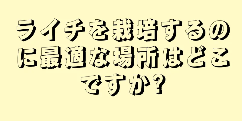 ライチを栽培するのに最適な場所はどこですか?