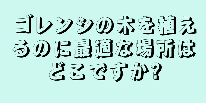ゴレンシの木を植えるのに最適な場所はどこですか?