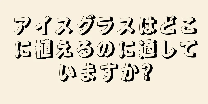 アイスグラスはどこに植えるのに適していますか?