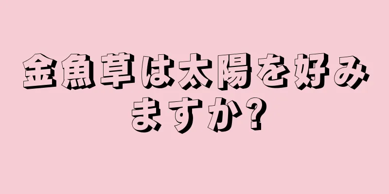 金魚草は太陽を好みますか?