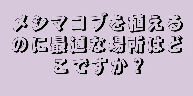メシマコブを植えるのに最適な場所はどこですか？