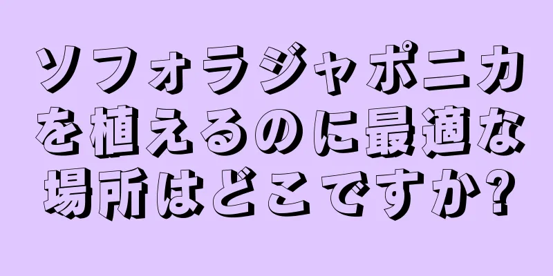 ソフォラジャポニカを植えるのに最適な場所はどこですか?