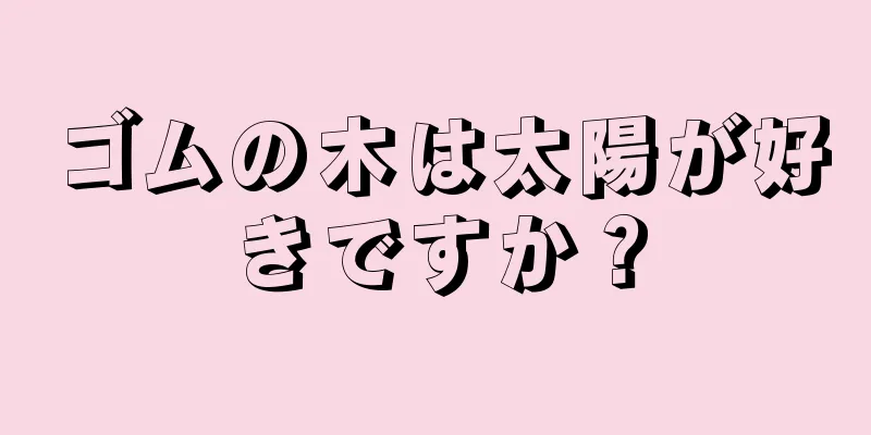 ゴムの木は太陽が好きですか？