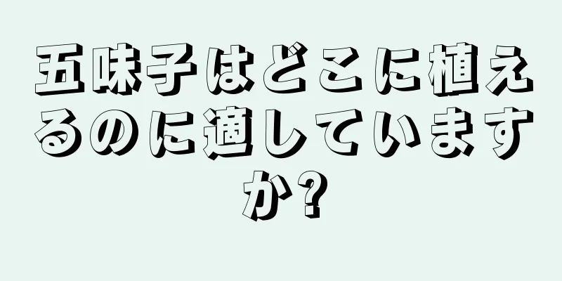 五味子はどこに植えるのに適していますか?