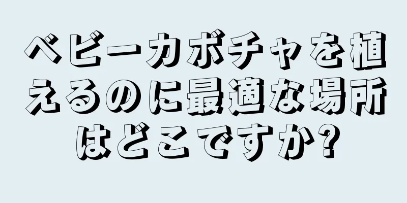 ベビーカボチャを植えるのに最適な場所はどこですか?