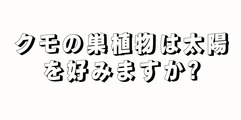 クモの巣植物は太陽を好みますか?