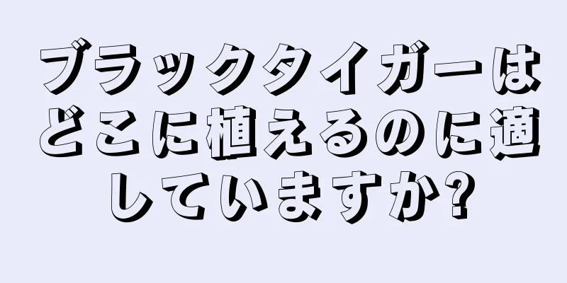 ブラックタイガーはどこに植えるのに適していますか?