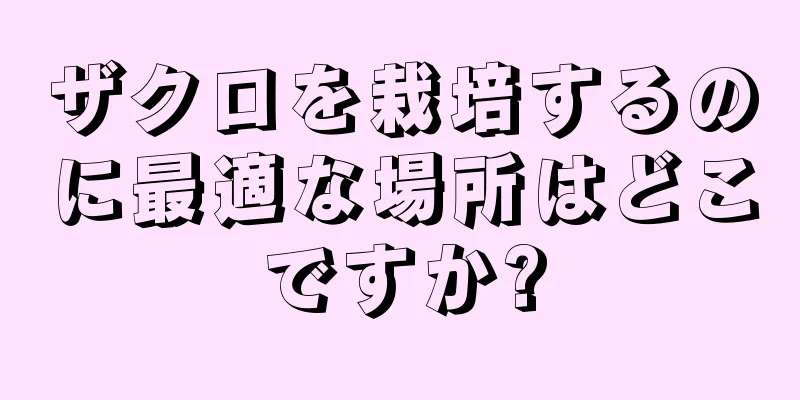 ザクロを栽培するのに最適な場所はどこですか?