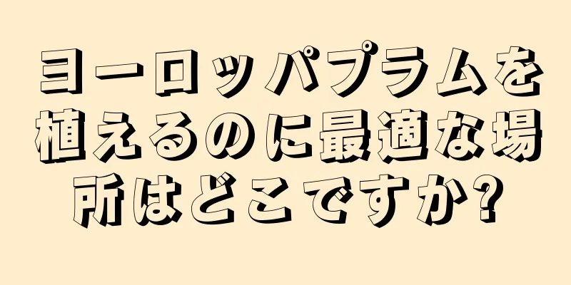 ヨーロッパプラムを植えるのに最適な場所はどこですか?