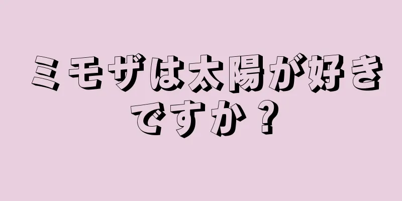 ミモザは太陽が好きですか？