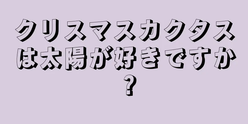 クリスマスカクタスは太陽が好きですか？