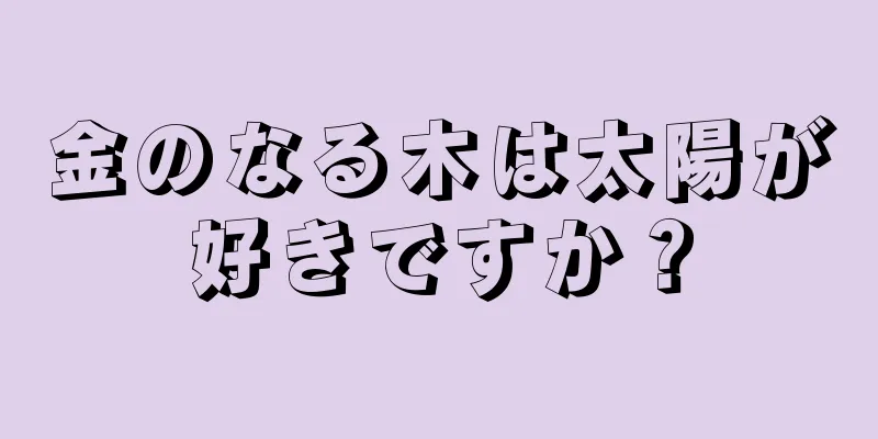 金のなる木は太陽が好きですか？