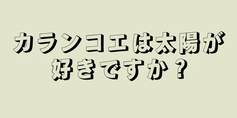 カランコエは太陽が好きですか？