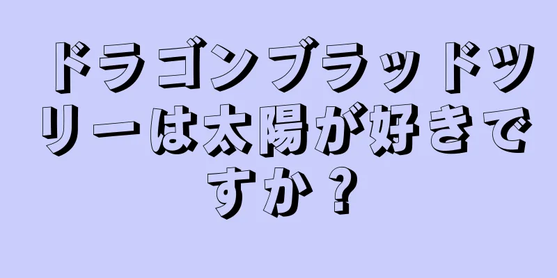 ドラゴンブラッドツリーは太陽が好きですか？