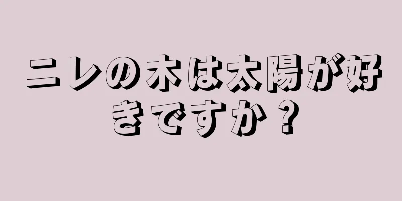 ニレの木は太陽が好きですか？