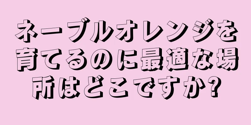 ネーブルオレンジを育てるのに最適な場所はどこですか?