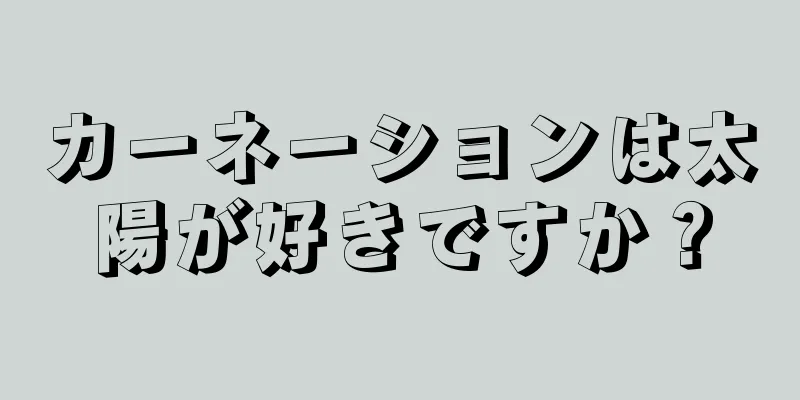 カーネーションは太陽が好きですか？