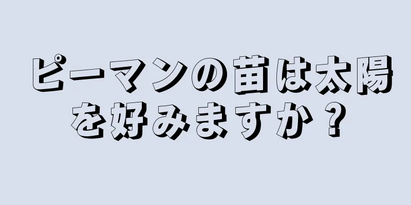 ピーマンの苗は太陽を好みますか？