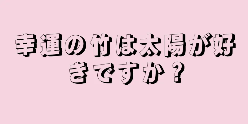幸運の竹は太陽が好きですか？