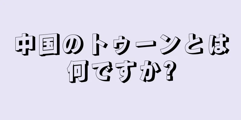 中国のトゥーンとは何ですか?
