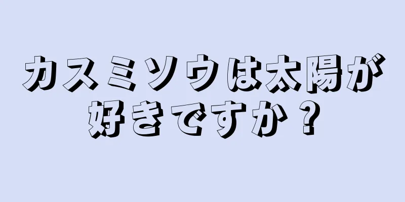 カスミソウは太陽が好きですか？