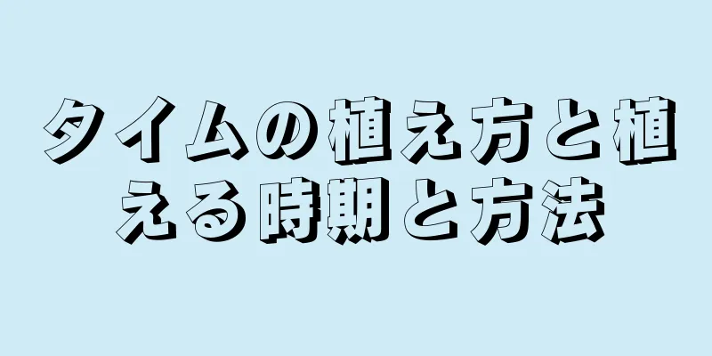 タイムの植え方と植える時期と方法