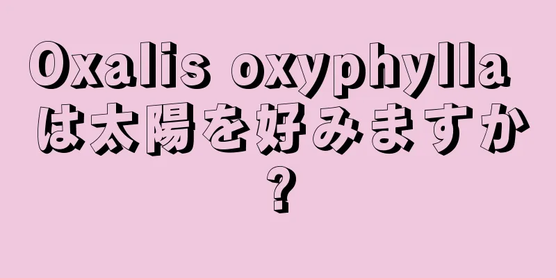 Oxalis oxyphylla は太陽を好みますか?