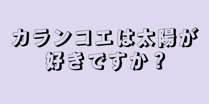 カランコエは太陽が好きですか？