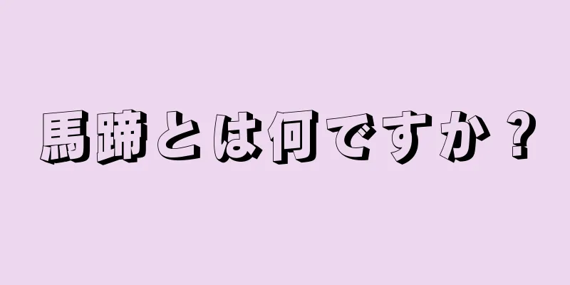 馬蹄とは何ですか？