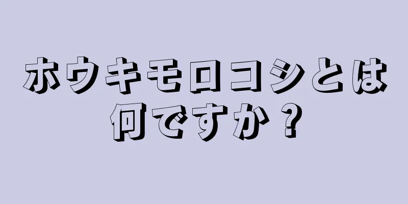 ホウキモロコシとは何ですか？