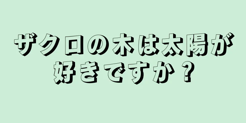 ザクロの木は太陽が好きですか？
