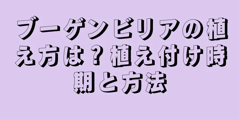 ブーゲンビリアの植え方は？植え付け時期と方法