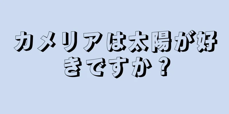 カメリアは太陽が好きですか？