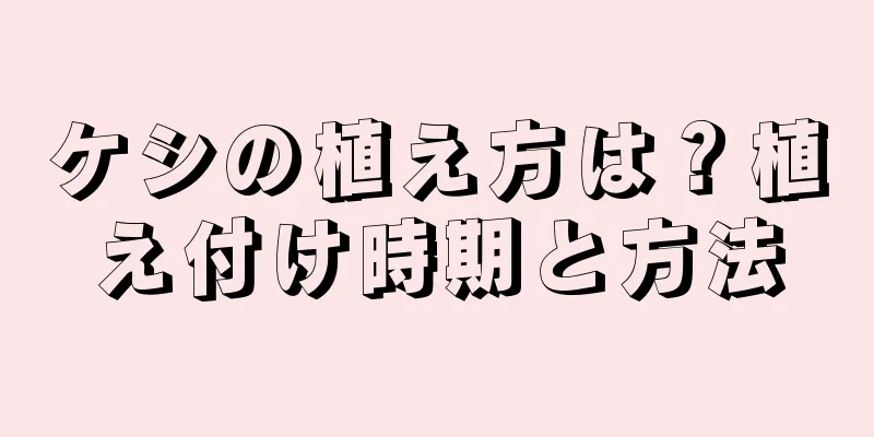 ケシの植え方は？植え付け時期と方法