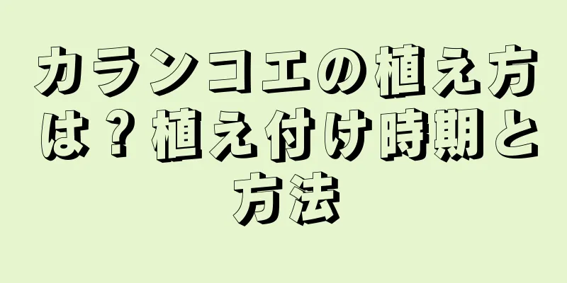 カランコエの植え方は？植え付け時期と方法