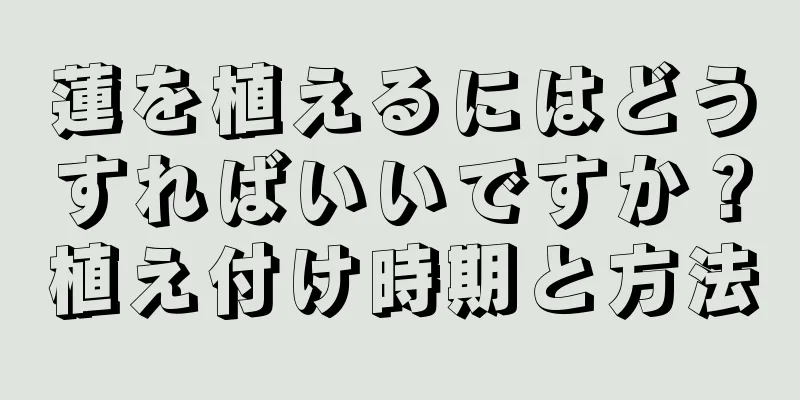 蓮を植えるにはどうすればいいですか？植え付け時期と方法